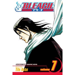 Bleach, Vol. 7