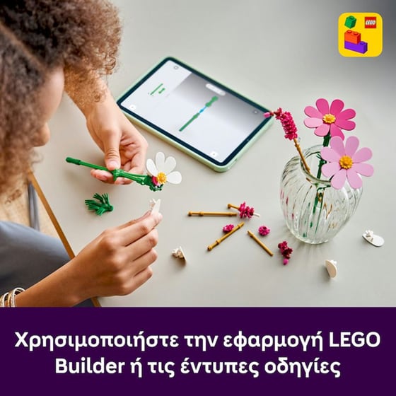 LEGO® Botanicals Λουλούδια Κόσμος (11514) image 4