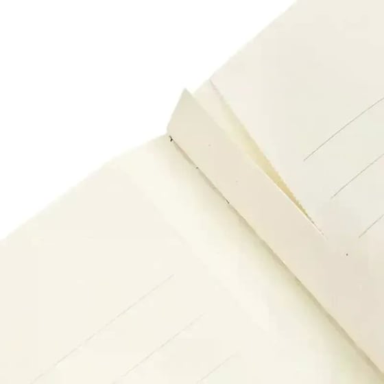 Τετράδιο Paperblanks Ruled A5 Riviera Bold image 3