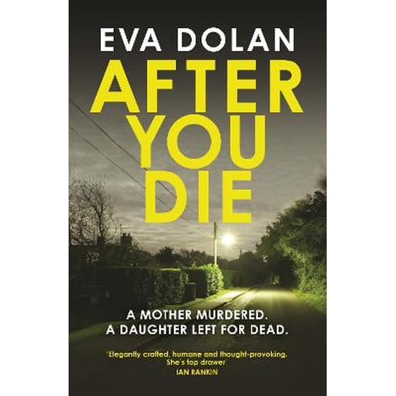 After You Die image 0