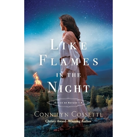 Like Flames in the Night image 0