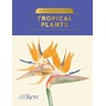 product-thumbnail