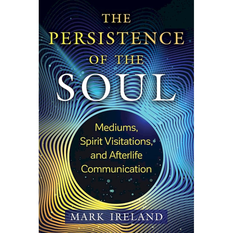 The Persistence of the Soul