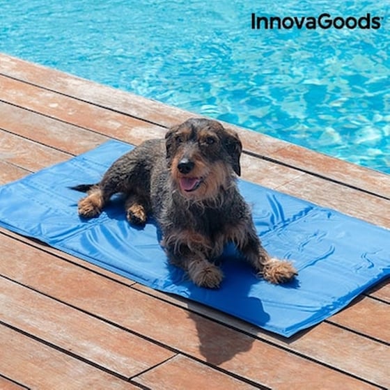 Δροσερό Χαλάκι Για Τα Κατοικίδια Innovagoods (90 X 50 Εκ) image 1