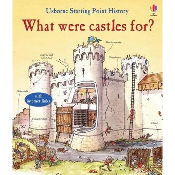 What Were Castles for? image 0