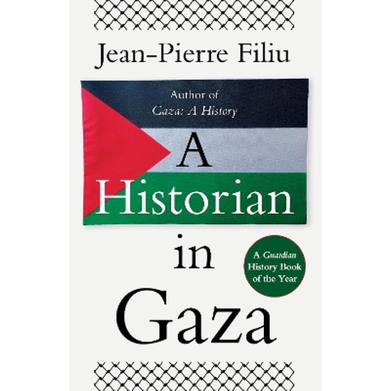 A Historian in Gaza image 0