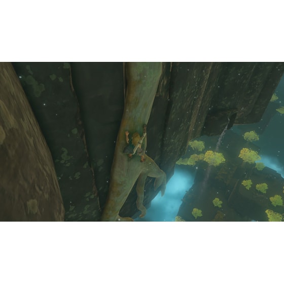 The Legend of Zelda: Tears of the Kingdom Collector's Edition  - Nintendo Switch image 4