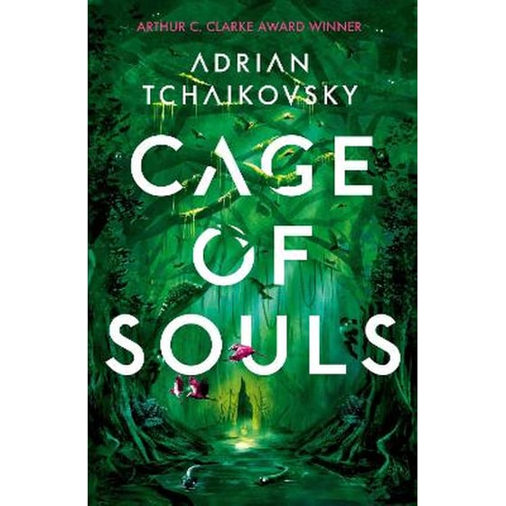 Cage of Souls image 0