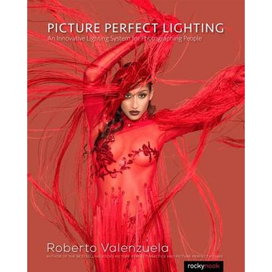 Picture Perfect Lighting image 0