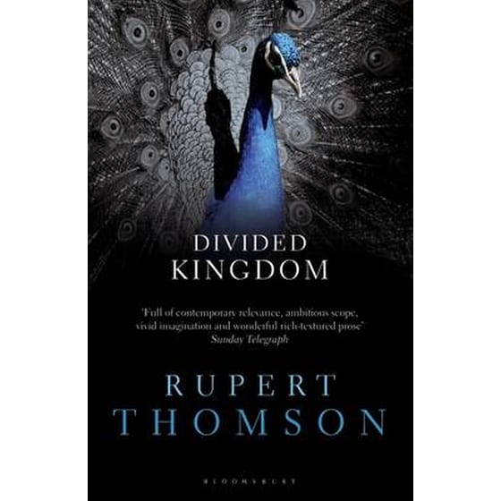Divided Kingdom image 0