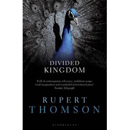 Divided Kingdom