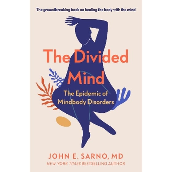 The Divided Mind image 0