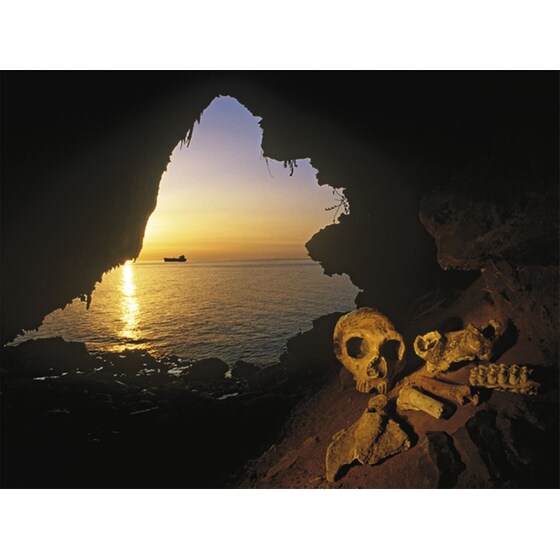 The Neanderthals Rediscovered image 1