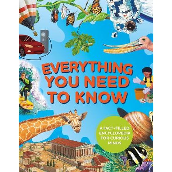 Everything You Need to Know image 0