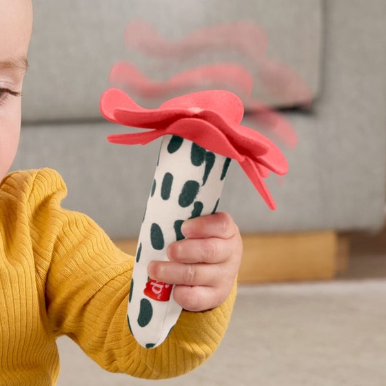 Fisher-Price Κουδουνίστρα Λουλουδάκι-Μελισσούλα (HYR56) image 1