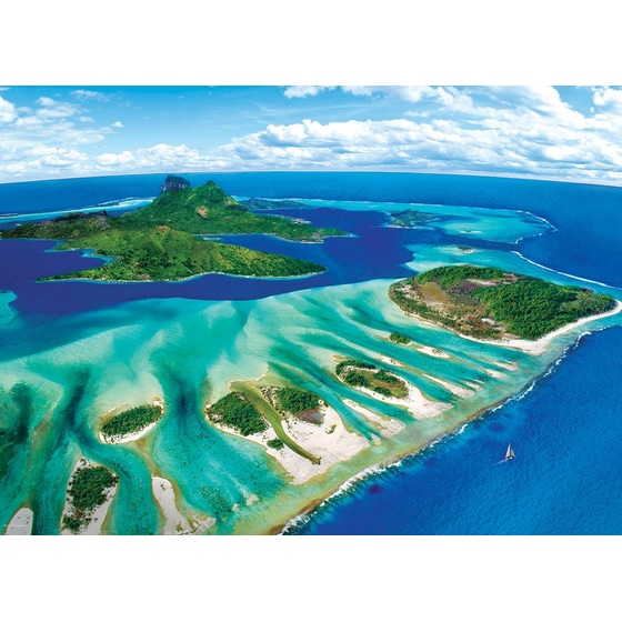 Παζλ Eurographics Coral Reef (1000 Κομμάτια) image 1