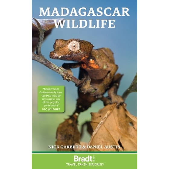 Madagascar Wildlife image 0