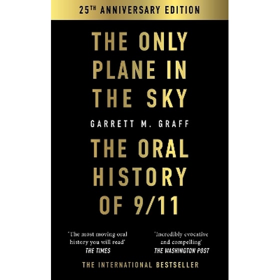 The Only Plane in the Sky image 0