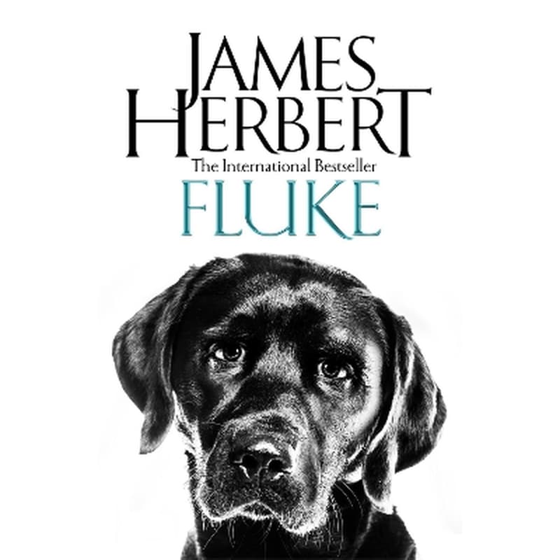 Fluke