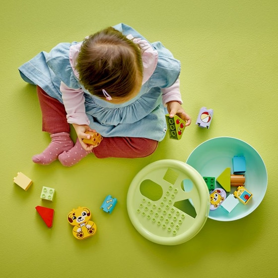 LEGO® DUPLO® My First Ταξινόμηση Σχημάτων: Σπίτι για Κουταβάκια (10441) image 2