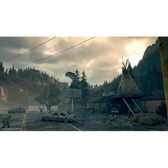 Days Gone - PS4 image 11