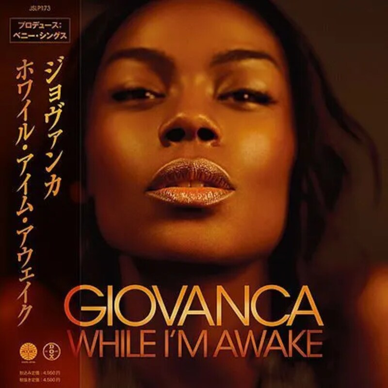 While I’m Awake (2LP)