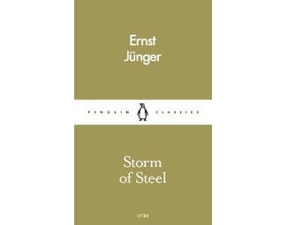 Storm of Steel image 0