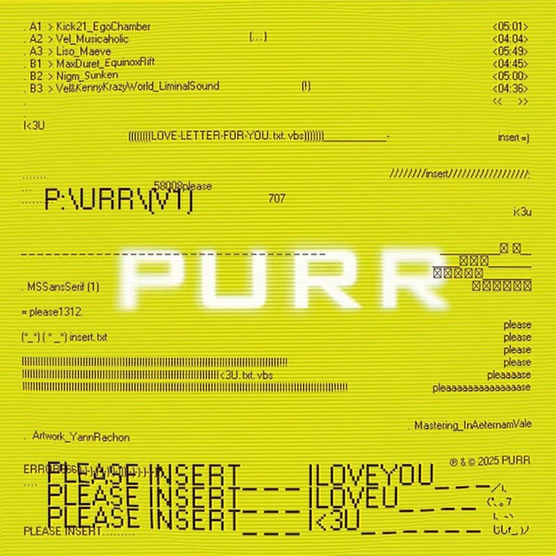 PleaseInsert ILoveYou (LP 12)