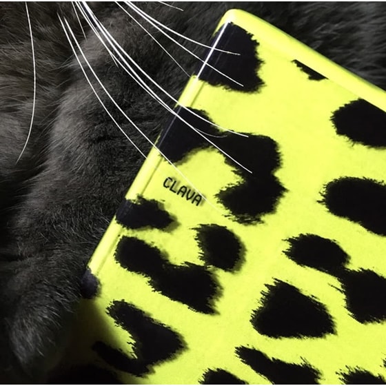 Clava (Cassette) image 0