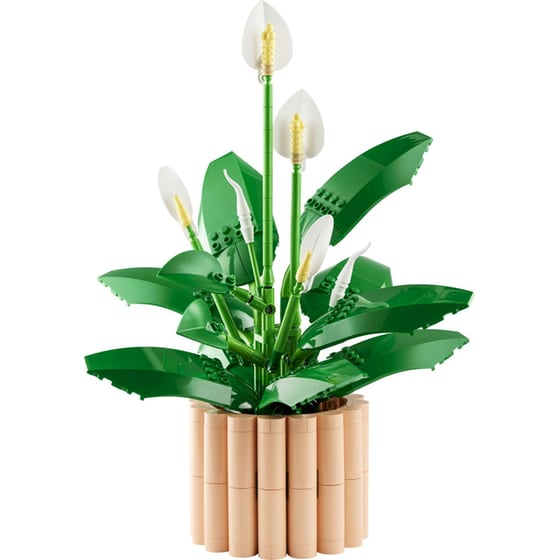 LEGO® Botanicals Peace Lily (11504) image 1