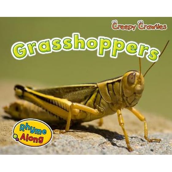 Grasshoppers image 0