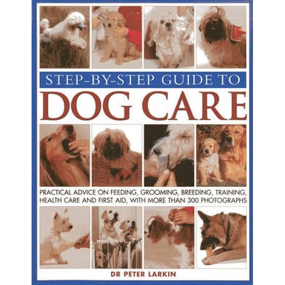 Step-by-step Guide to Dog Care image 0