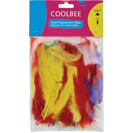 Φτερά Χειροτεχνίας Coolbee (30 Τεμάχια)