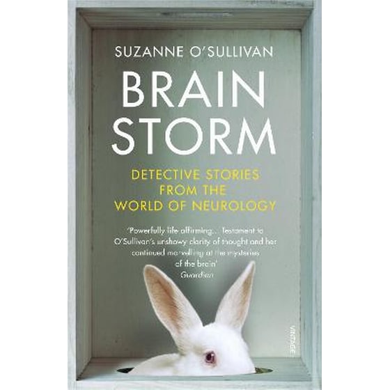 Brainstorm image 0