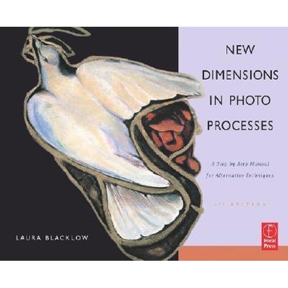 New Dimensions in Photo Processes image 0