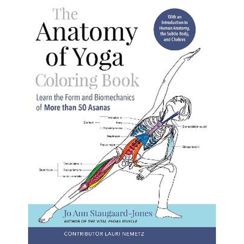 Anatomy of Yoga Colouring Book