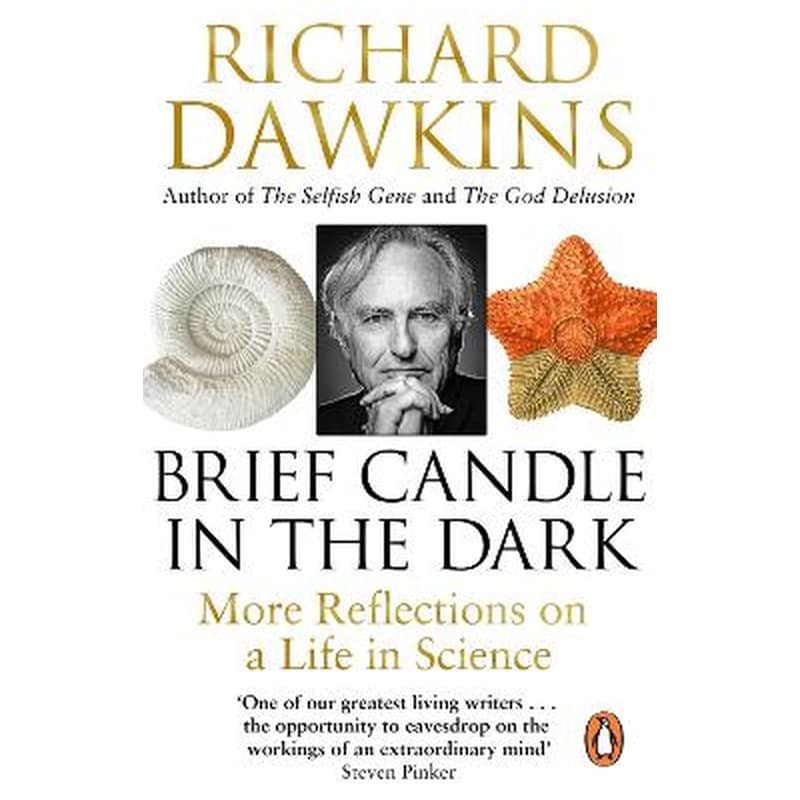 Brief Candle in the Dark