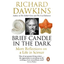 Brief Candle in the Dark