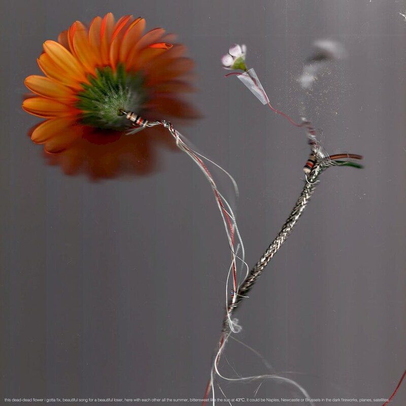 43°C (Recycled Vinyl)