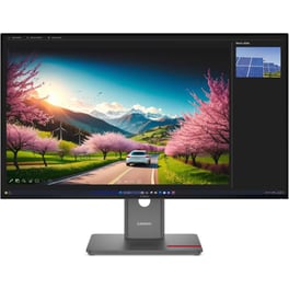 Lenovo ThinkVision P32UD-40 Monitor 31.5" 4K IPS Flat 120Hz 6ms