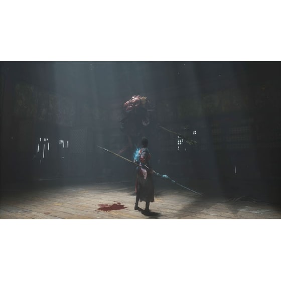 WUCHANG: Fallen Feathers  D1 Edition - PS5 image 2