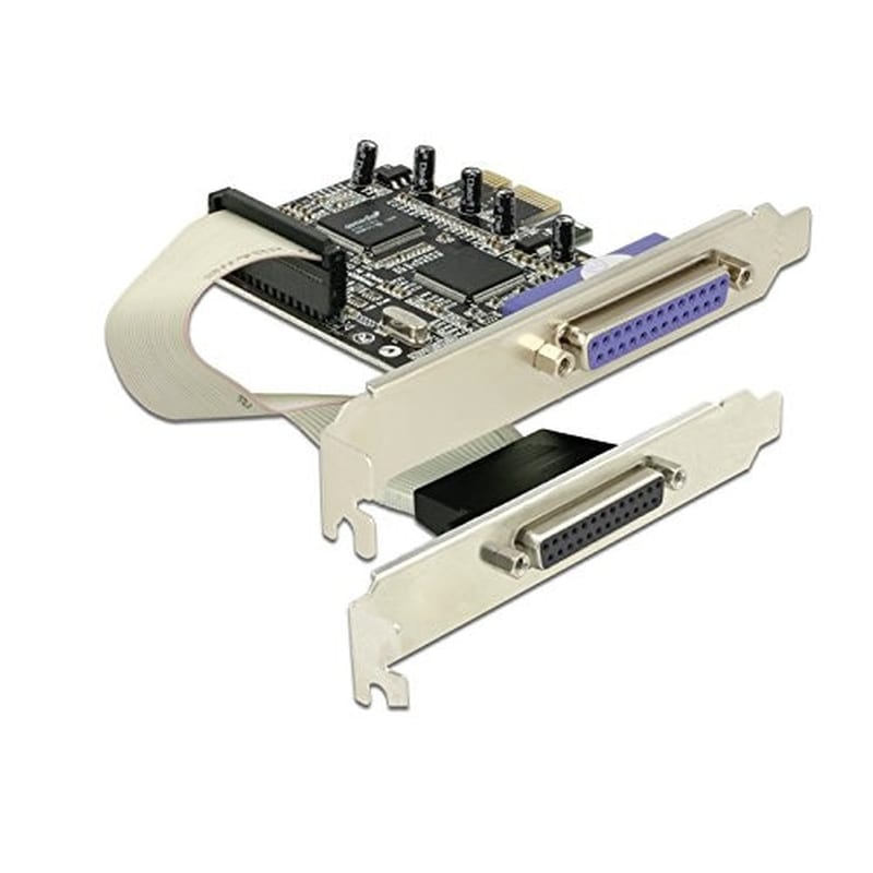 Express Card Pcie Delock 2x Parallel