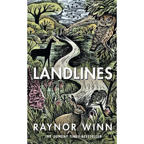 Landlines image 0