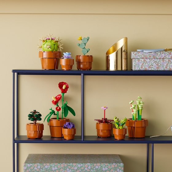 LEGO® Icons Tiny Plants (10329) image 16