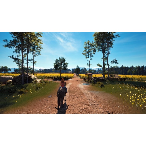 Windstorm: Start of a Great Friendship Remastered - PS5 image 2