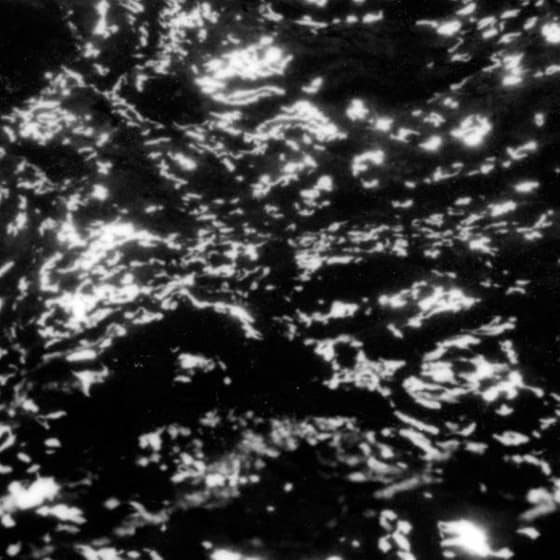 Aia: Dream Loss image 0