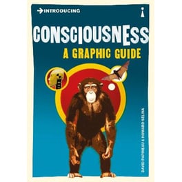 Introducing Consciousness