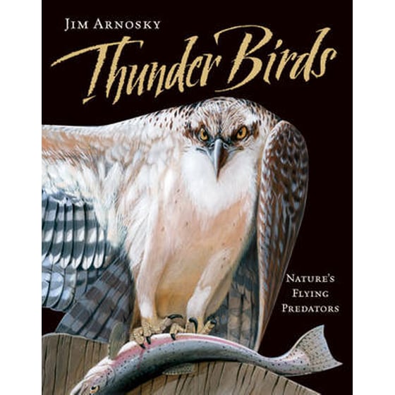 Thunder Birds image 0