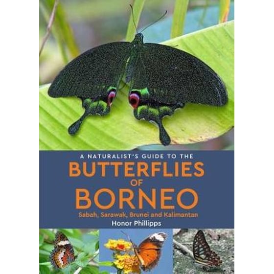 Naturalist's Guide to the Butterflies of Borneo image 0