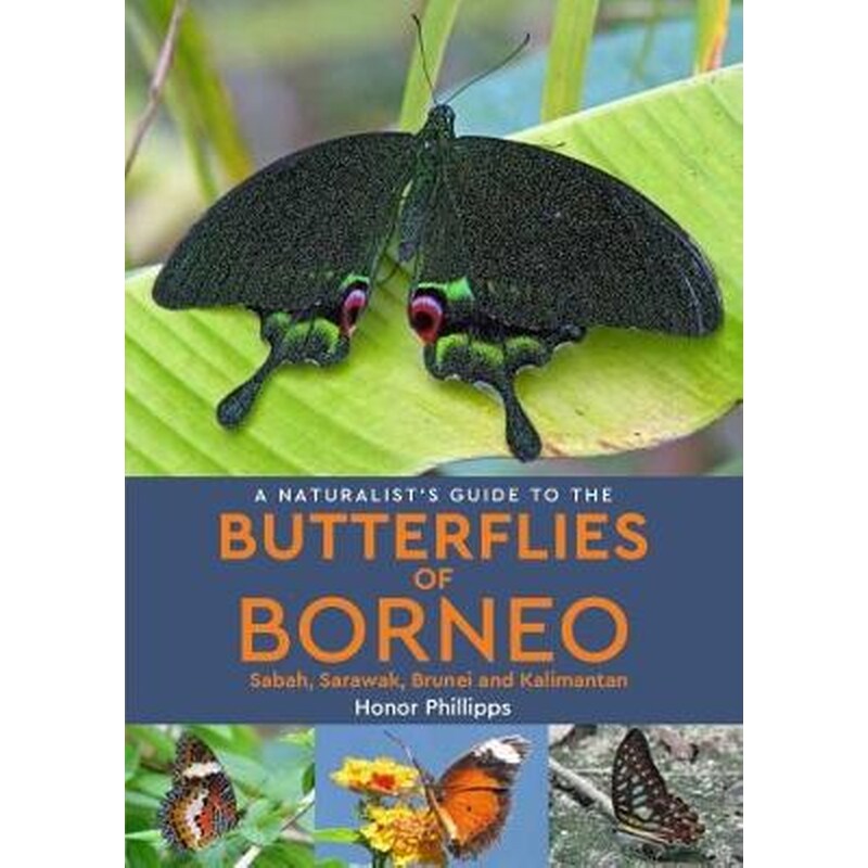 Naturalists Guide to the Butterflies of Borneo